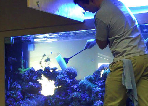 Aquarium Cleaning Service Per 1 Feet ( Fresh Water )
